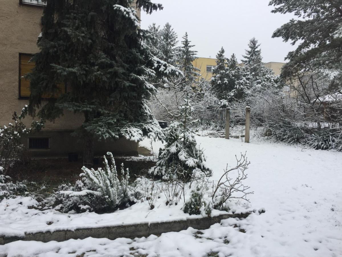 Next To University Debrecen Dış mekan fotoğraf